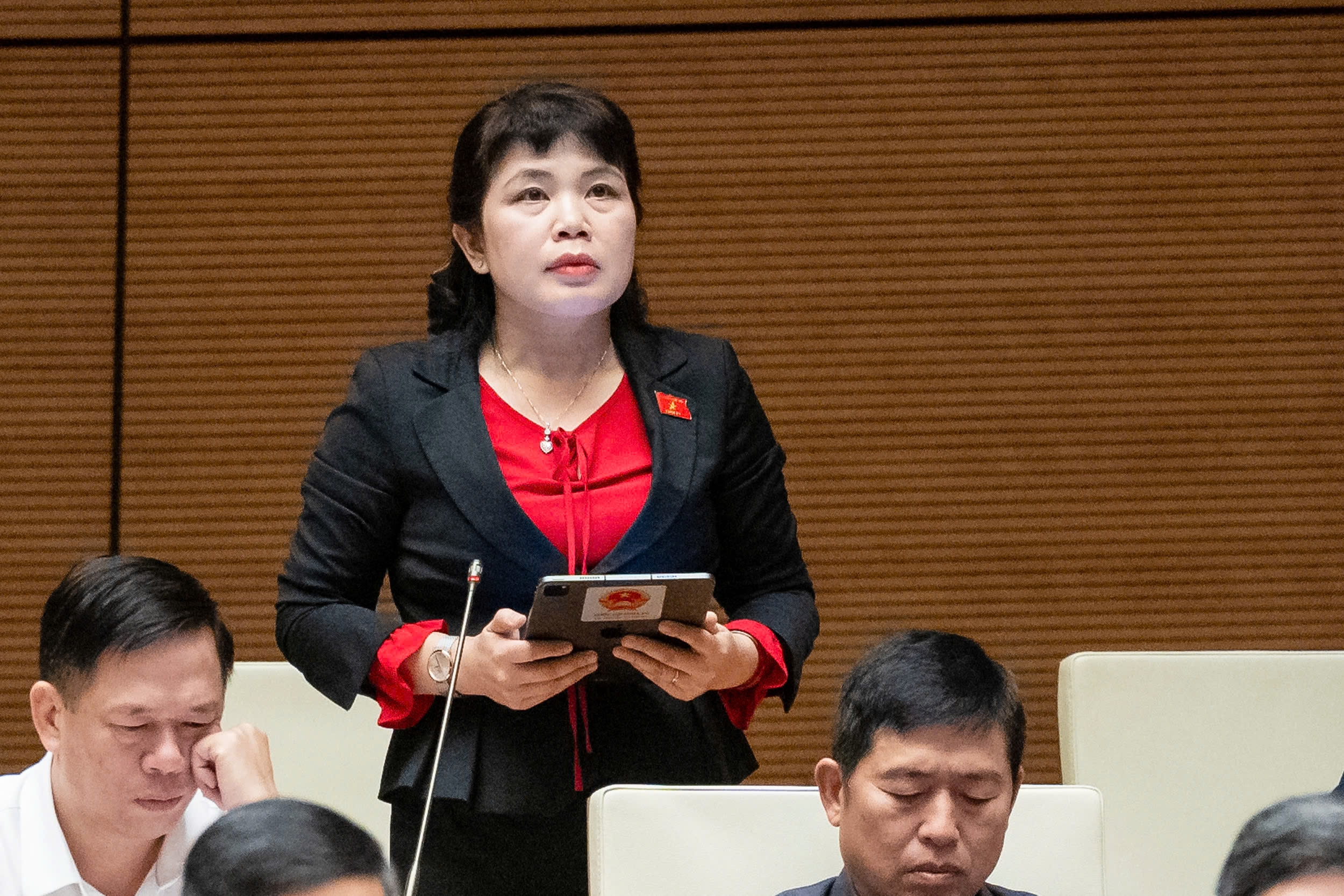 Đại biểu Nguyễn Thị Thu H&agrave;: 