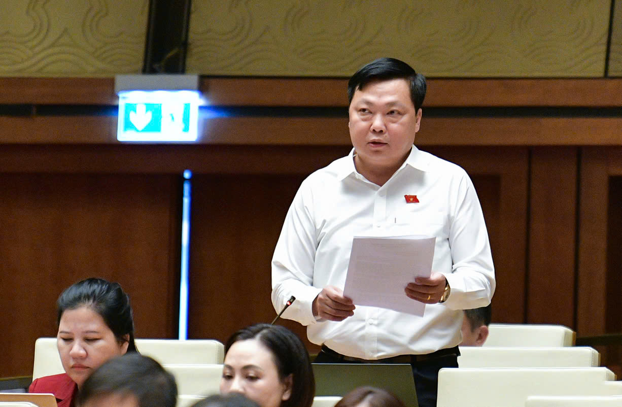 Đại biểu Phạm Hùng Thắng, đoàn Hà Nam:
