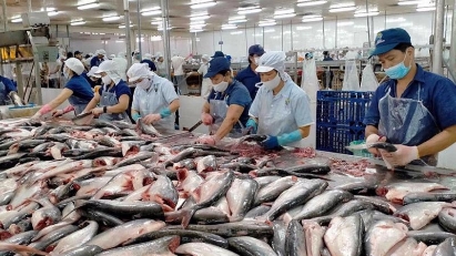 Aquatic export turnover exceeds $1 billion in October