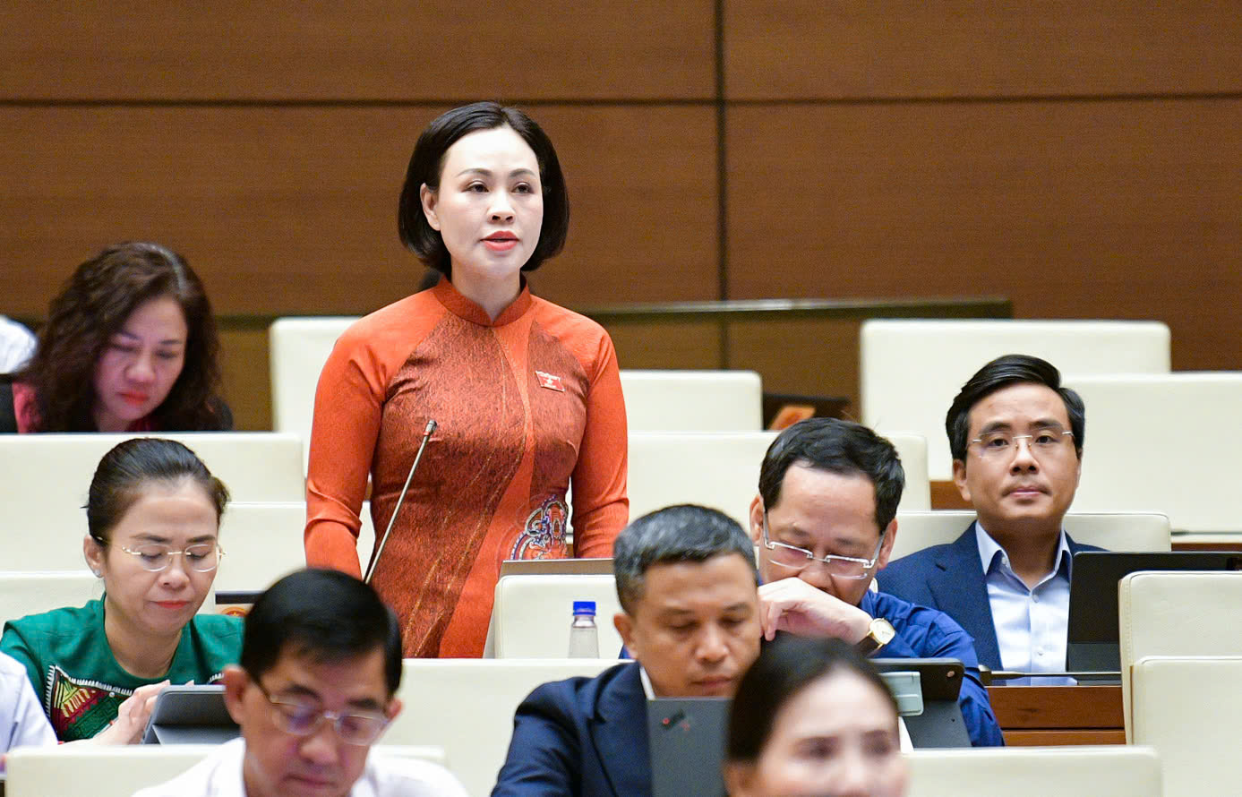 Đại biểu Trần Thị Hồng Thanh, đo&agrave;n tỉnh Ninh B&igrave;nh. Ảnh: Quochoi.vn.