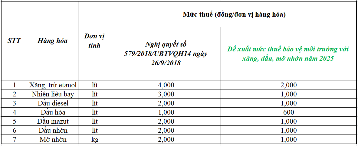 Ngân sách trợ lực trên 44.000 tỷ đồng giảm thuế bảo vệ môi trường với xăng dầu năm 2025 - Ảnh 1