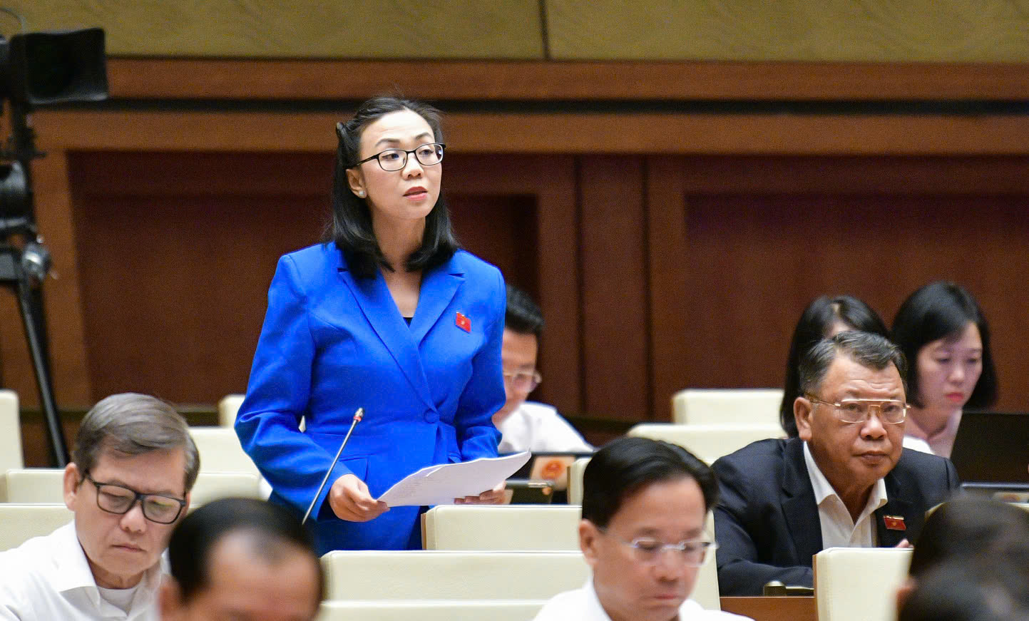 Đại biểu Trịnh Thị T&uacute; Anh: 