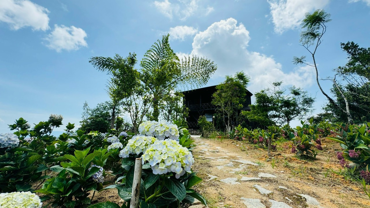 Một trong những sản phẩm du lịch đặc trưng hiện nay của Khánh Hòa là tour 