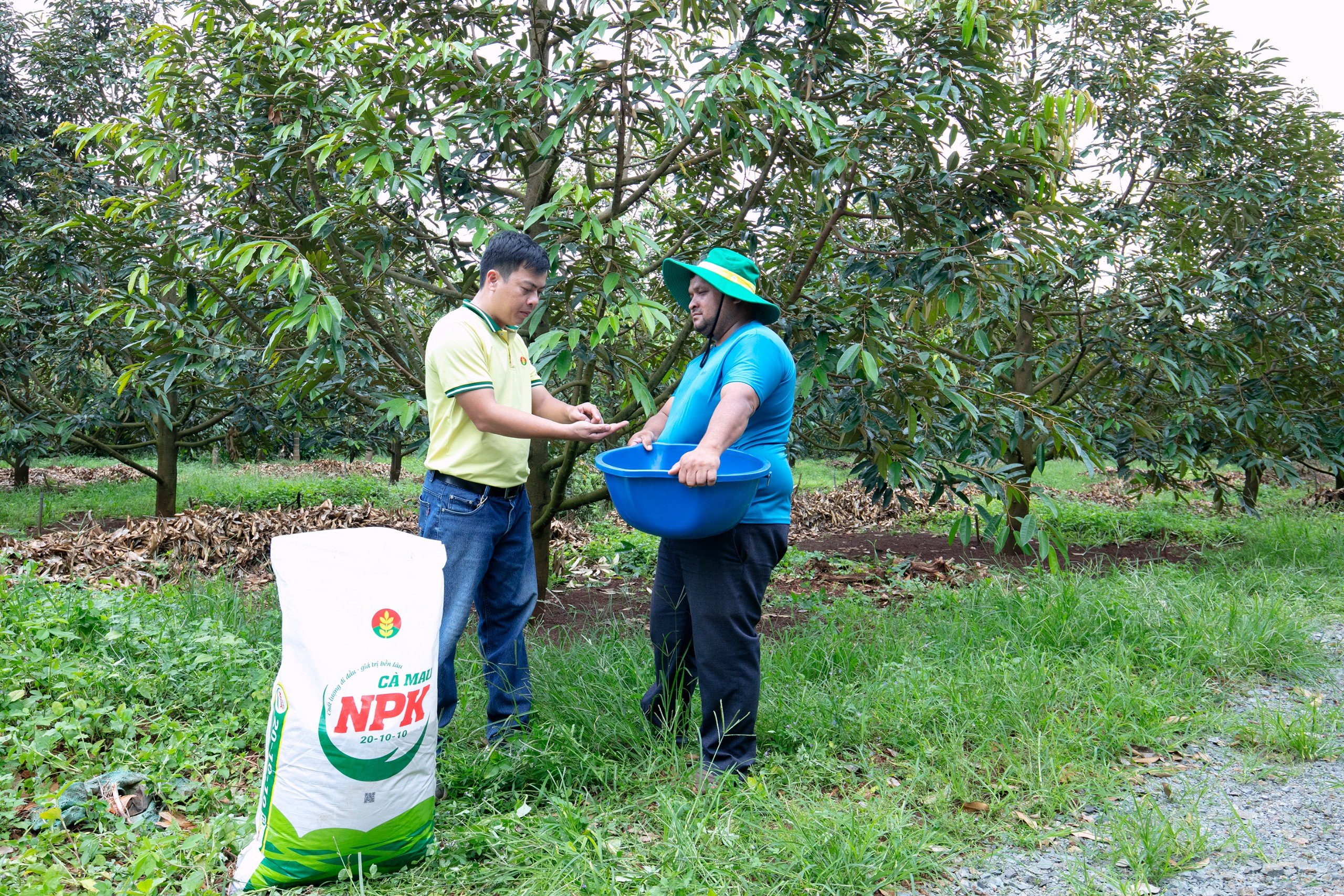 Kỹ sư Phân bón Cà Mau tư vấn phương pháp canh tác, sử dụng phân bón cho bà con nông dân.