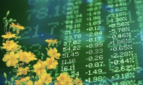 Chuyên gia: Tháng 11 luôn là cơ hội tốt nhất để mua cổ phiếu đón 