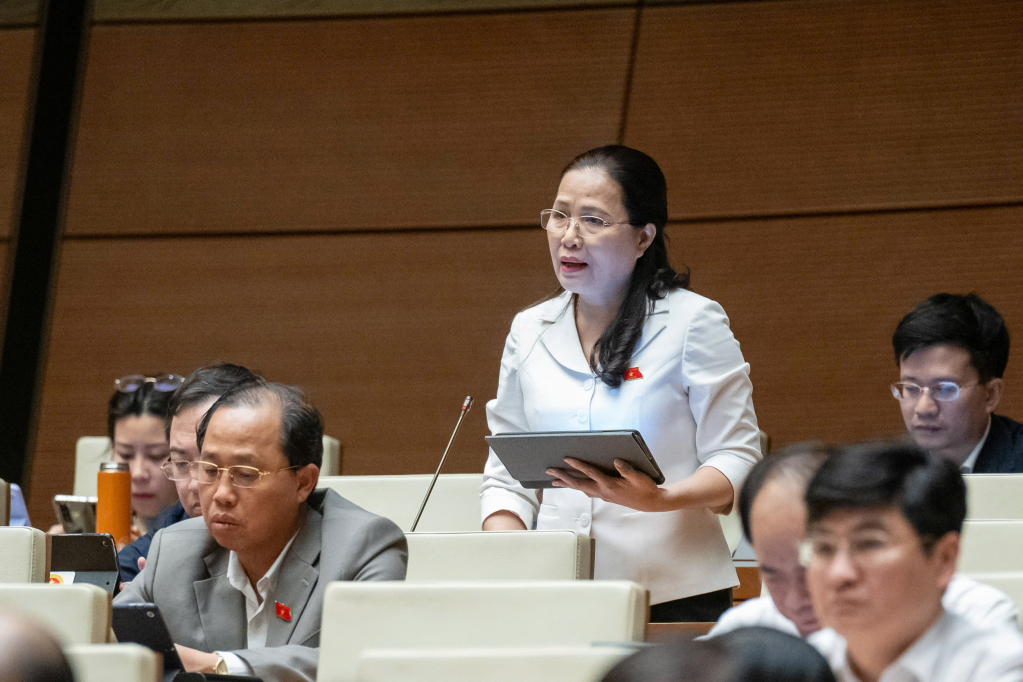 Đại biểu Đỗ Thị Lan ph&aacute;t biểu &yacute; kiến thảo luận.