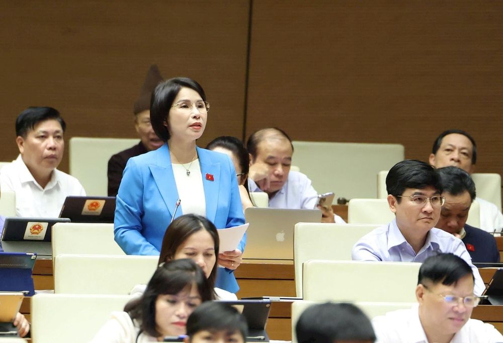Đại biểu Trần Thị Nhị Hà, đoàn Tp. Hà Nội phát biểu ý kiến.