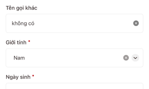 TP.HCM thí điểm cấp Phiếu lý lịch tư pháp trên ứng dụng VNeID
