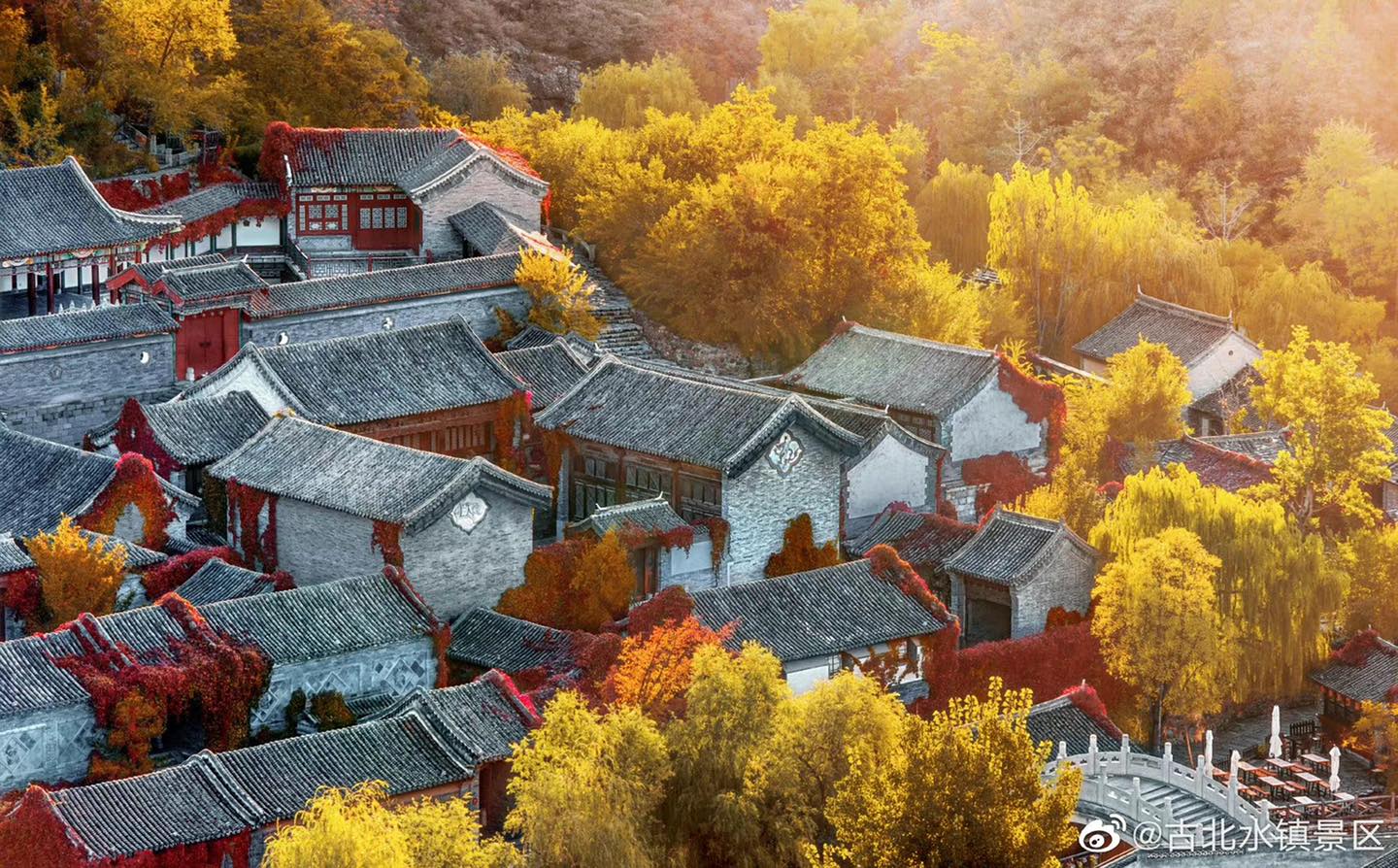 Xu hướng nổi bật năm nay l&agrave; kh&aacute;ch Việt 