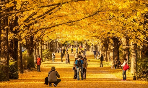 Mùa du lịch Thu Đông: Du khách Việt chuộng xuất ngoại