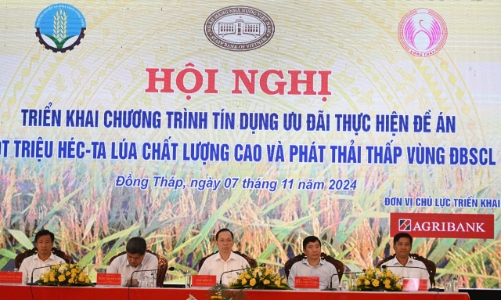 Nhiều ưu đãi vay thực hiện đề án một triệu ha lúa chất lượng cao và phát thải thấp