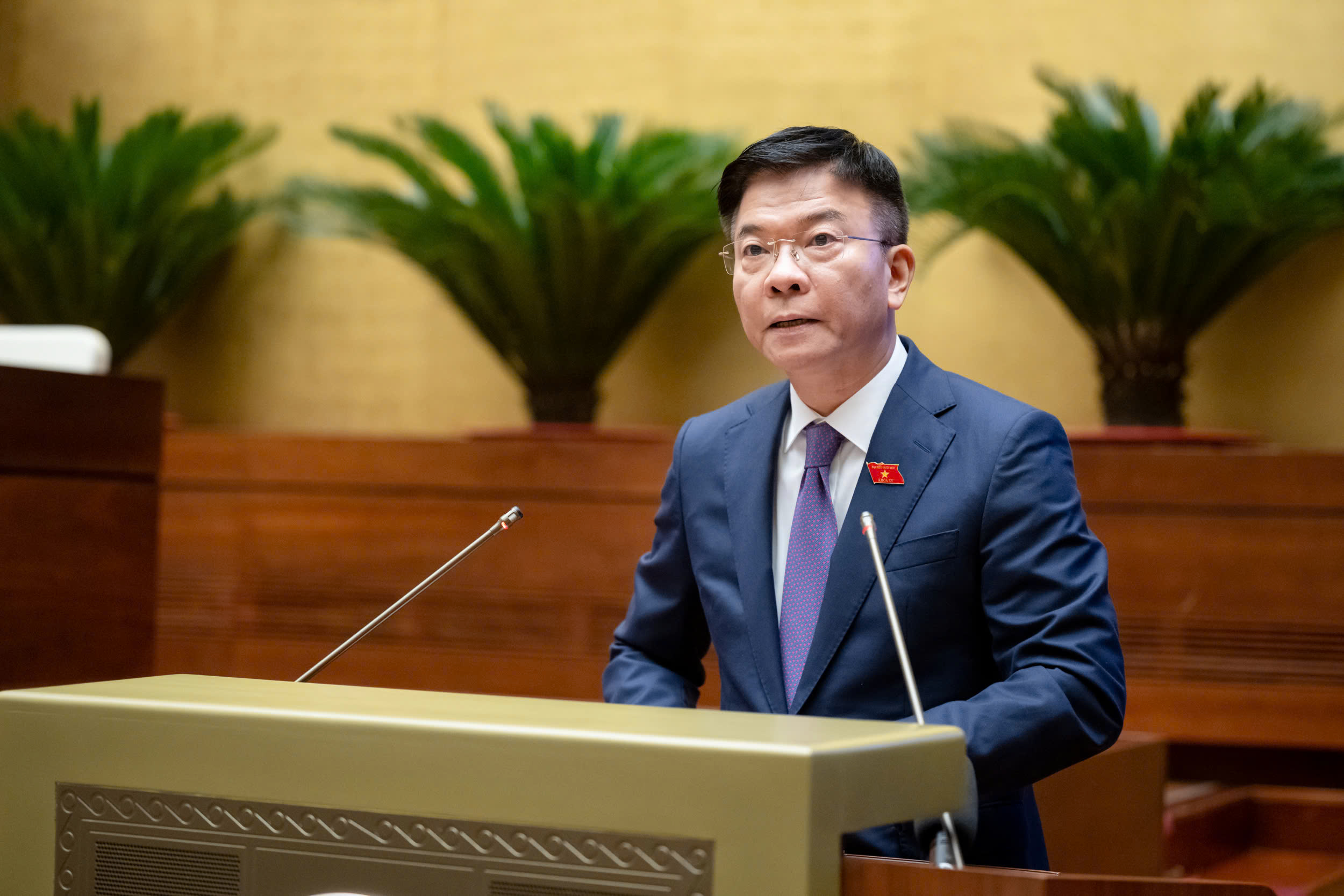 Phó Thủ tướng Chính phủ Lê Thành Long trình bày Tờ trình. Ảnh: Quochoi.vn.