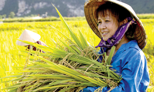 Giảm bất bình đẳng để phát triển bền vững