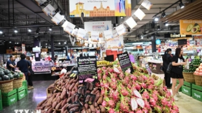 Vietnam showcases diverse products at Thailand's Udon Thani event