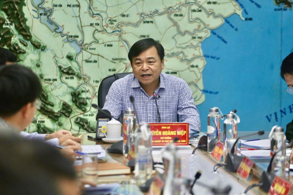 Thứ trưởng Nguyễn Ho&agrave;ng Hiệp: 