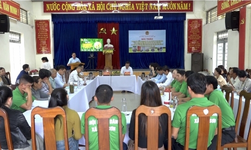 Đà Nẵng nhân rộng mô hình xử lý rác thải, lên men phụ phẩm cây trồng làm thức ăn chăn nuôi 