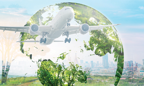 Du lịch không để lại “dấu chân carbon”