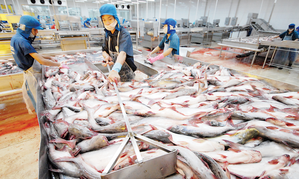 Hỗ trợ doanh nghiệp thuỷ sản tận dụng được FTA trong xuất khẩu. 