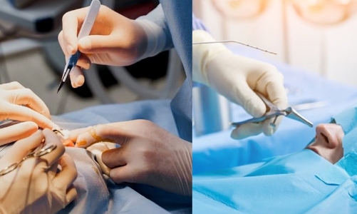 Đại biểu Quốc hội lo ngại về tình trạng bác sĩ “dởm” hành nghề