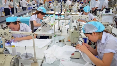 Over 136,000 new enterprises established in 10M
