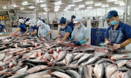 Cơ hội và thách thức cho thuỷ sản Việt Nam xuất khẩu sang Hoa Kỳ