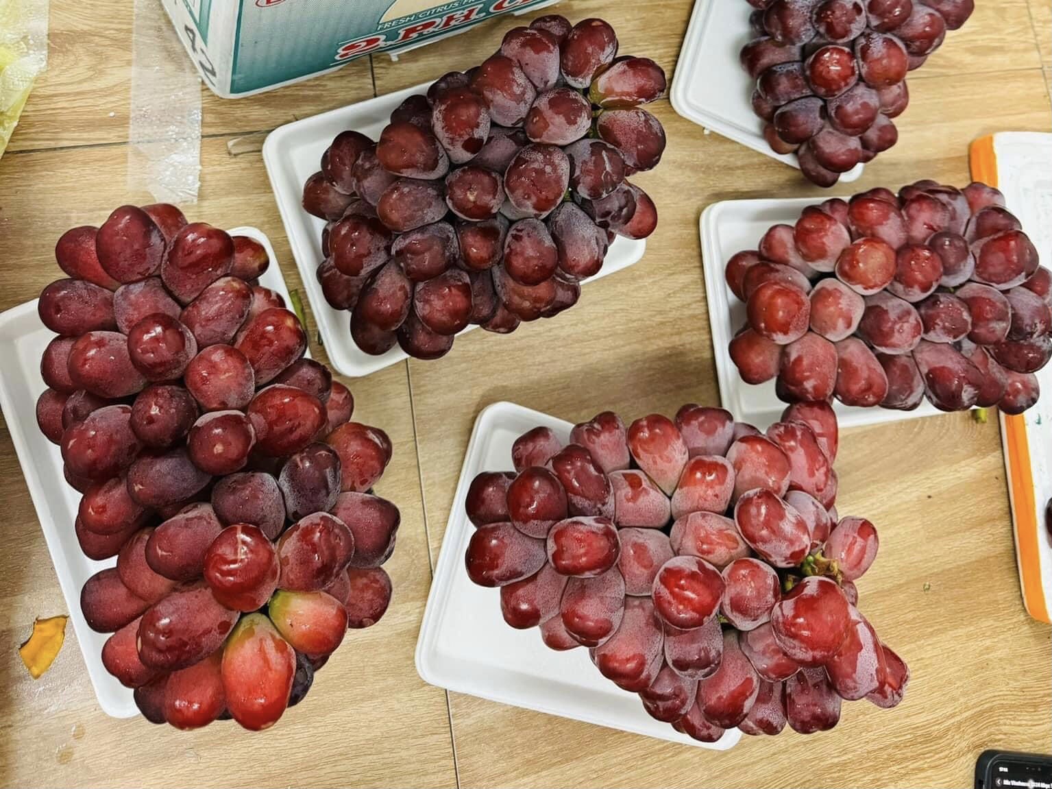 Việc kiểm tra an toàn thực phẩm đối với lô hàng trái cây nhập khẩu đang được thực hiện theo quy định tại Nghị định 15/2018/NĐ-CP của Chính phủ.