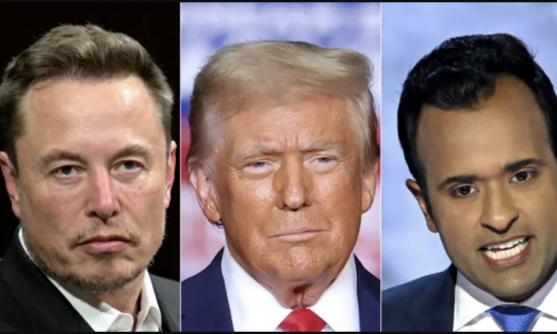 Ông Trump thành lập bộ mới, bổ nhiệm Elon Musk đứng đầu