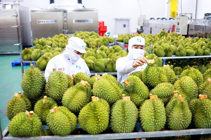 Bringing Vietnamese fruits and vegetables deeper into the Chinese market