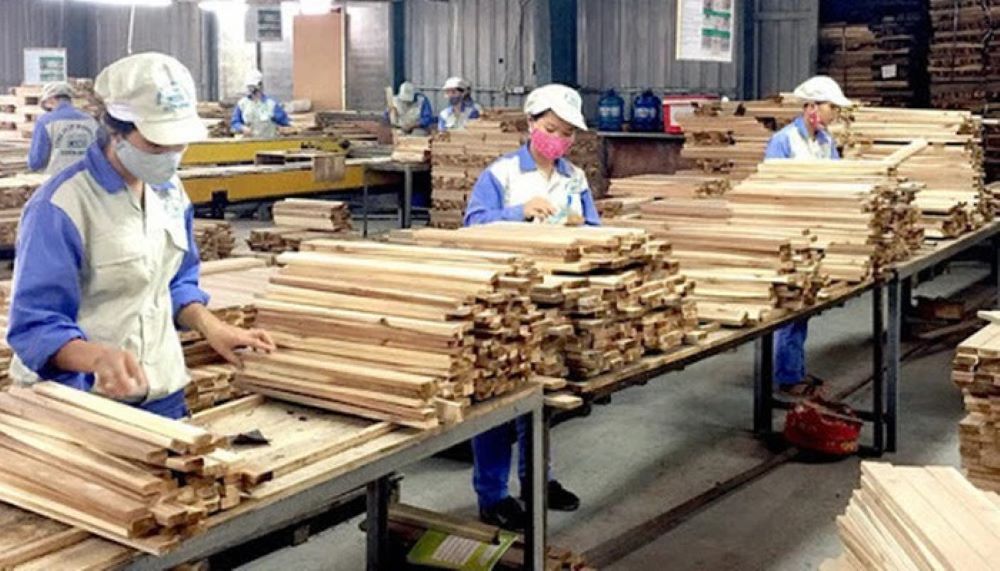 Xuất khẩu gỗ và các sản phẩm gỗ 10 tháng năm 2024 đạt 13,18 tỷ USD, tăng 20,9% so với cùng kỳ năm 2023.