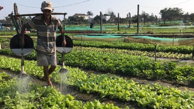 Tra Que vegetable village wins UN Tourism award