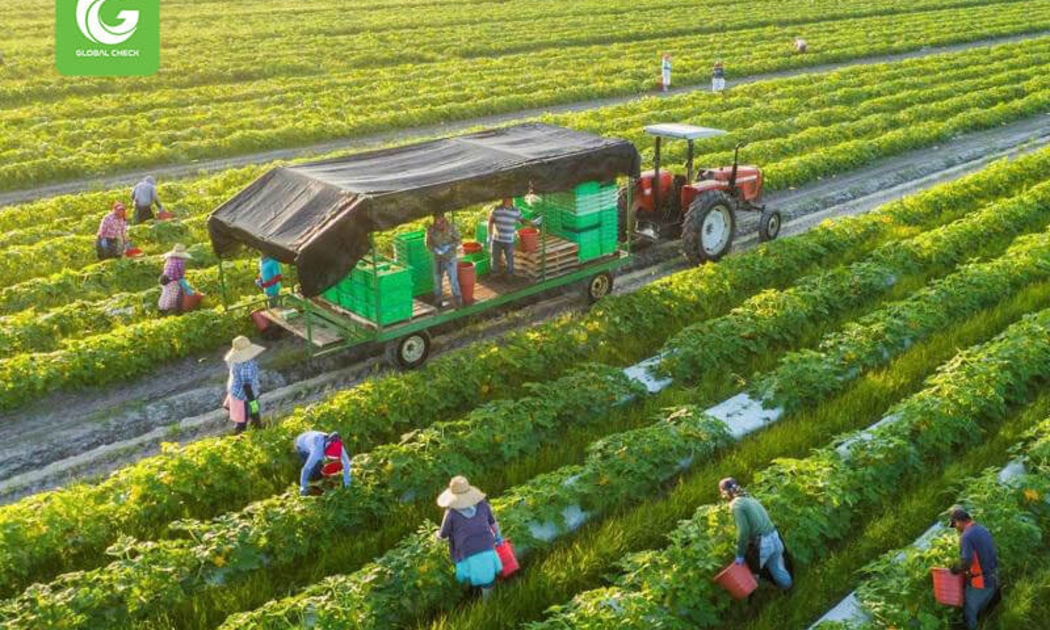 Để duy trì sự hiện diện tại thị trường EU, doanh nghiệp Việt Nam phải không ngừng đổi mới sản xuất, đảm bảo tiêu chí về môi trường và xã hội...