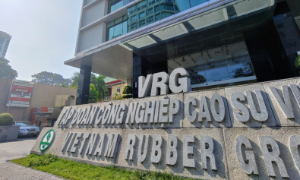 Mắc lỗi sao chép số liệu, GVR phải đính chính báo cáo tài chính hợp nhất quý 3/2024