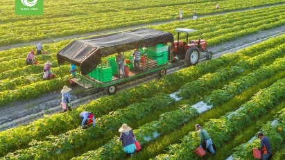 Vietnamese firms enjoy advantages to boost export to EU