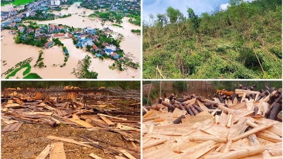 Vietnam needs financial and insurance strategies to mitigate disaster impacts