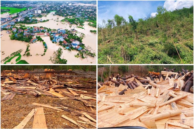 Vietnam needs financial and insurance strategies to mitigate disaster impacts