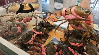 Exports of crabs and shellfish continue upward trend