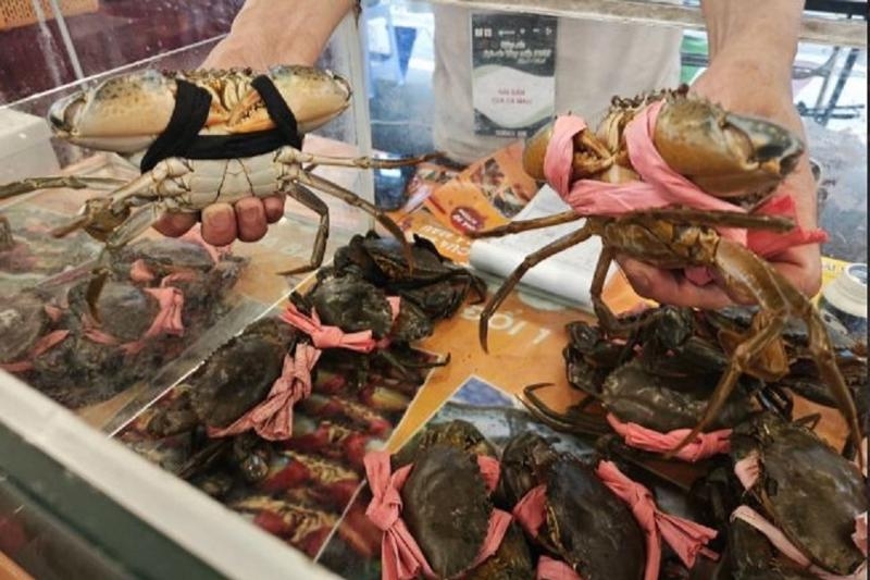 Exports of crabs and shellfish continue upward trend