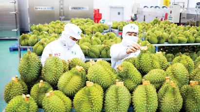 Fruit and vegetable export to China expected to hit $5 bln in 2024