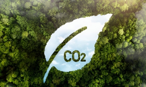 Đề xuất mở rộng hợp tác thích ứng biến đổi khí hậu và xây dựng thị trường carbon ở Việt Nam 