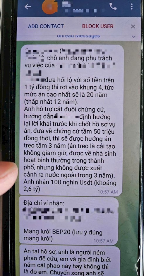 Đối tượng lừa đảo nhắn tin dụ dỗ nạn nhân (Ảnh: Công an TP.HCM). 
