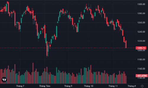 Vốn nội không đỡ nổi, VN-Index lại rơi sát vùng 1200 điểm