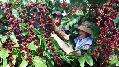 Vietnam's exports to EU grow 12-15% annually