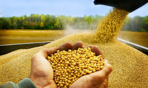 Từ 16/12, điều chỉnh giảm thuế nhập khẩu nhiều mặt hàng 