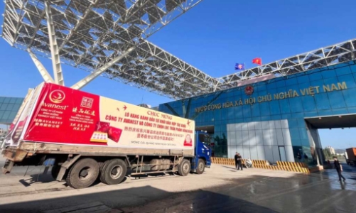 Xuất lô hàng tổ yến đầu tiên qua lối thông quan cầu Bắc Luân II sang Trung Quốc