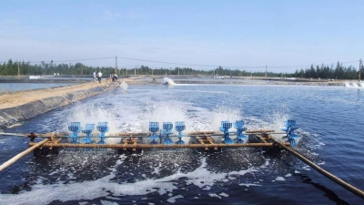 Green practices should be prioritized for sustainable fisheries