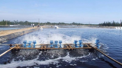 Green practices should be prioritized for sustainable fisheries