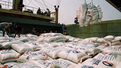 Rice exports to Malaysia surge, outperform key sectors