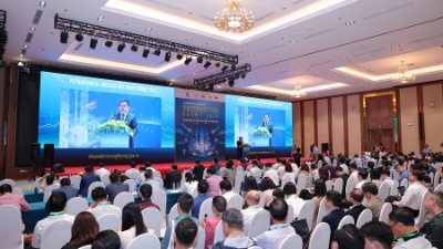 Developing a sustainable digital economy to boost business growth