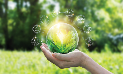 Hợp tác thúc đẩy mục tiêu phát triển bền vững