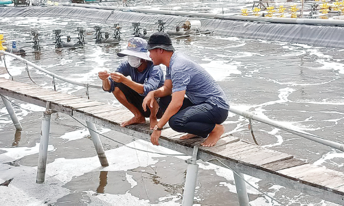 Chuyển đổi xanh: Hướng đi bền vững của ngành thủy sản